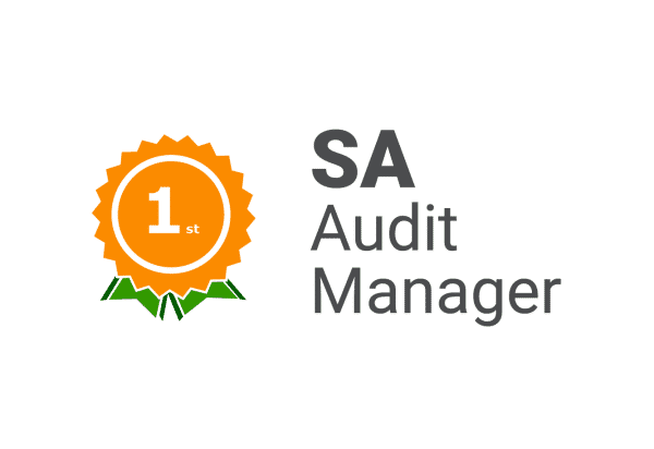 audit manager